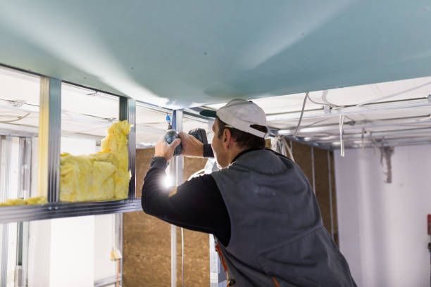 Best Spray Foam Insulation in Beacon Hill, WA