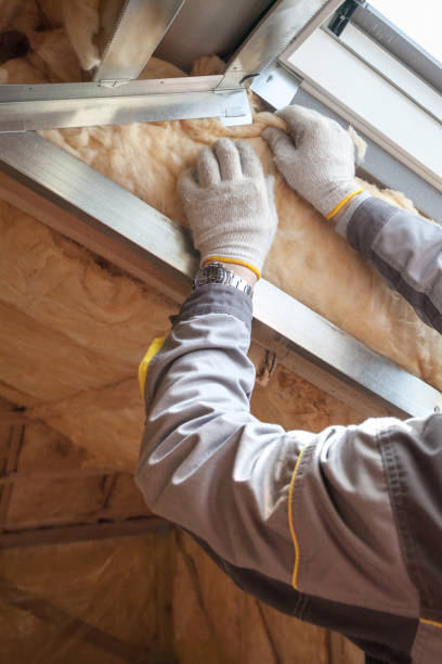 Types of Insulation We Offer in Beacon Hill, WA