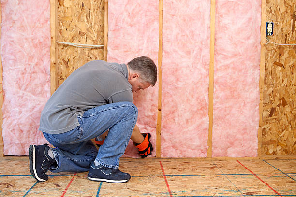 Trusted Beacon Hill, WA Insulation Contractor Experts