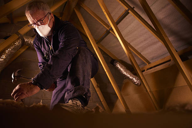 Reliable Beacon Hill, WA Insulation Contractor Solutions