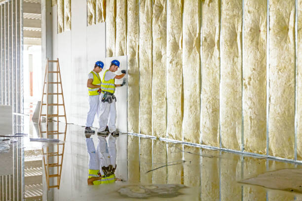 Types of Insulation We Offer in Beacon Hill, WA